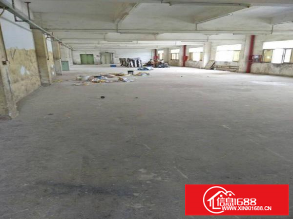 惠阳秋长650平一楼带装修厂房出租高6米空地大