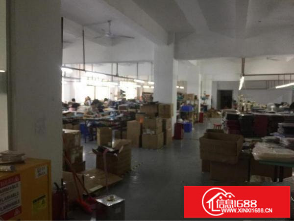 上雪科技园新岀厂房带简单装修，300至1300平米