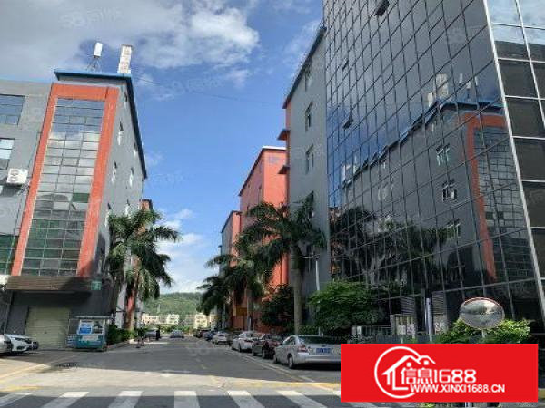 龙岗爱南路电商小精装办公费室业主直招价格可谈