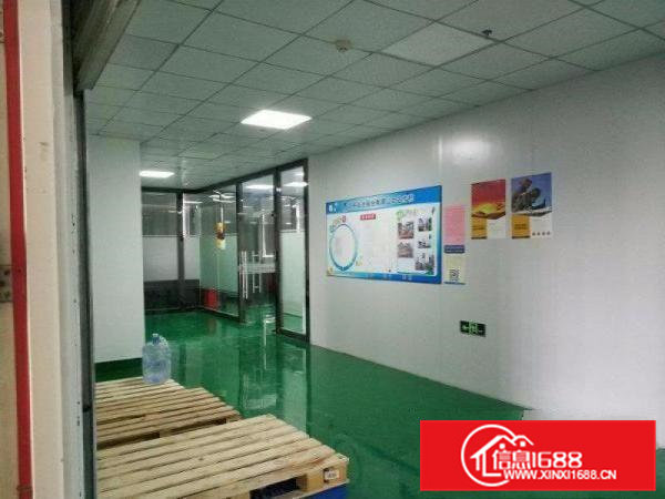 清溪浮岗村 2000平方米 消防喷淋 独院一楼厂房 重工业