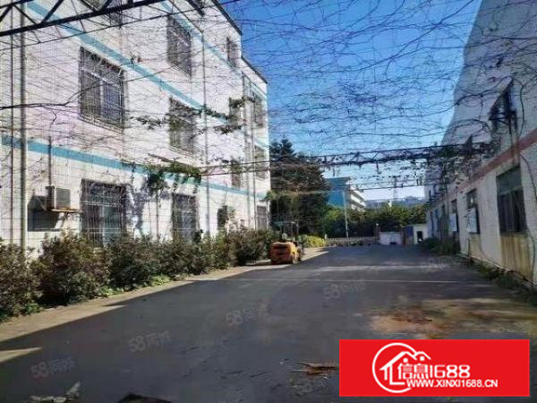 大岭山新出原房东独院钢构仓库厂房2600平方出租