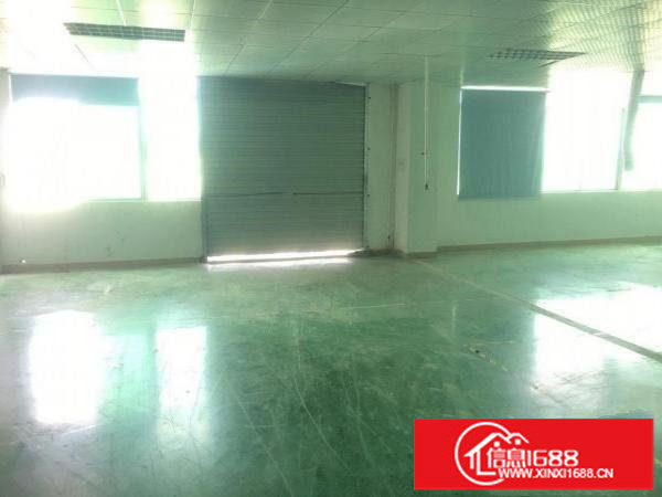 坂田上雪科技园新出整层1200平米