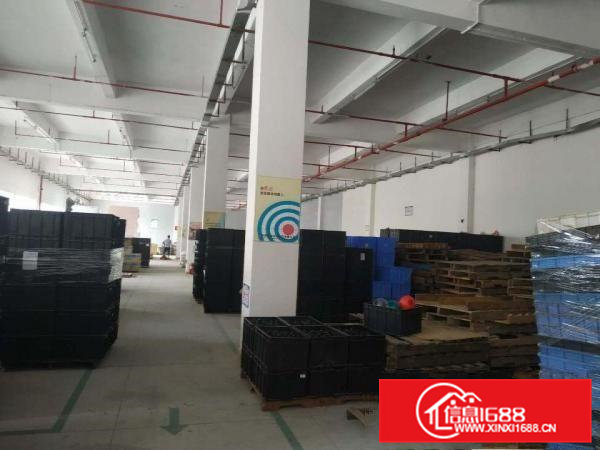 原房东独院标准厂房，形象漂亮！