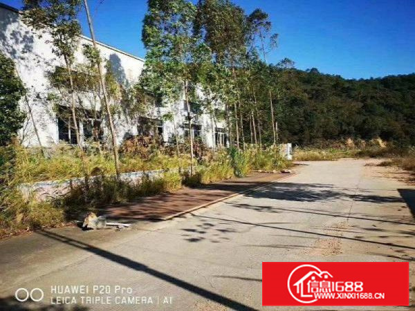 惠阳新圩长布钢构厂房一楼分租500平方