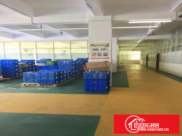 丹竹头地铁口1480平米厂房带精装修免转让费出租