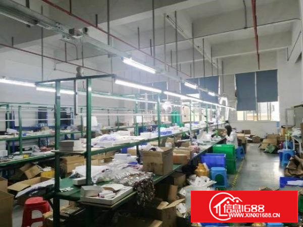 大润发附近，水电齐全豪华办公室