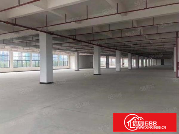 200起租清溪大利原房东47965平方厂房出租家具电池招租