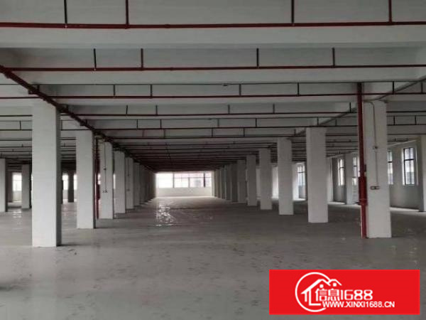 佛山顺德乐从独门独院可分租厂房便宜招租。