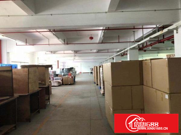 寮步新出楼上1500个方便宜出租