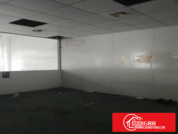 惠阳新墟原房东二楼标准厂房1050出租带红本