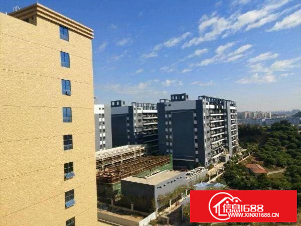 全新单一层厂房1500平米（带装修）