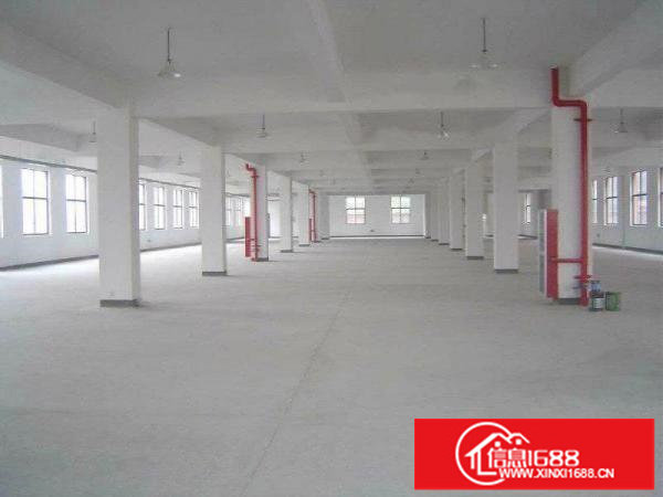 龙岗宝龙红本厂房出租2000至4万平