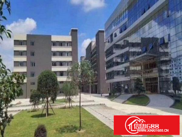 坪山大工业区原房东厂房550平出租带装修水电齐全二楼