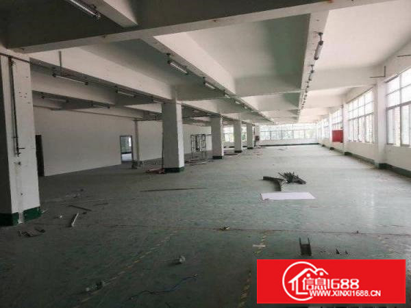 百门前工业区新出厂房15000平米大小可分租