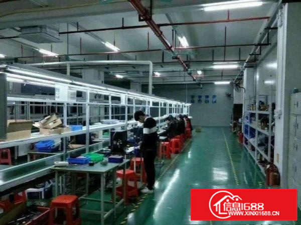 同乐工业区带红本楼上940平精装厂房出租