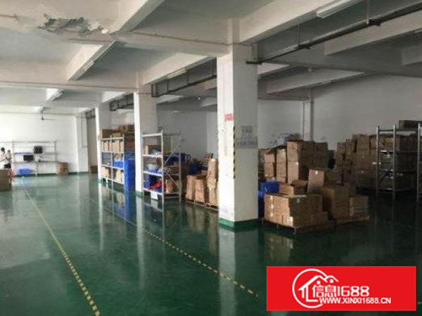 出租丹灶新农隔涌村1000平厂房，带精装修，配套齐全