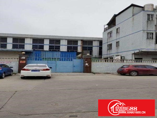 石路边大型产业园红本标准厂房出租1200平方