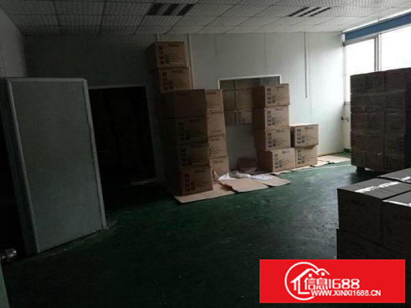 仲恺陈江一楼1100平带现成装修标准厂房招租