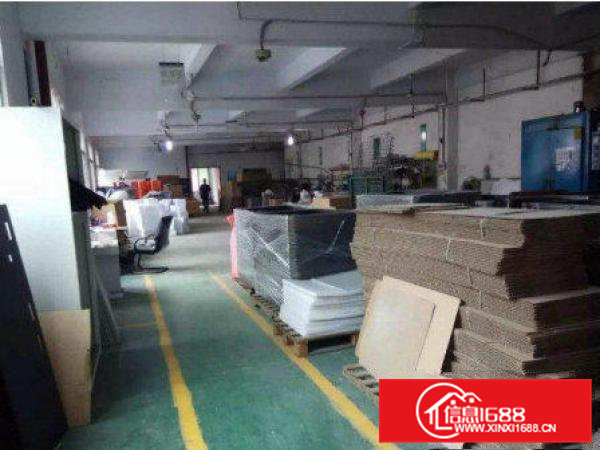 常平司马楼上600平方带装修厂房出租