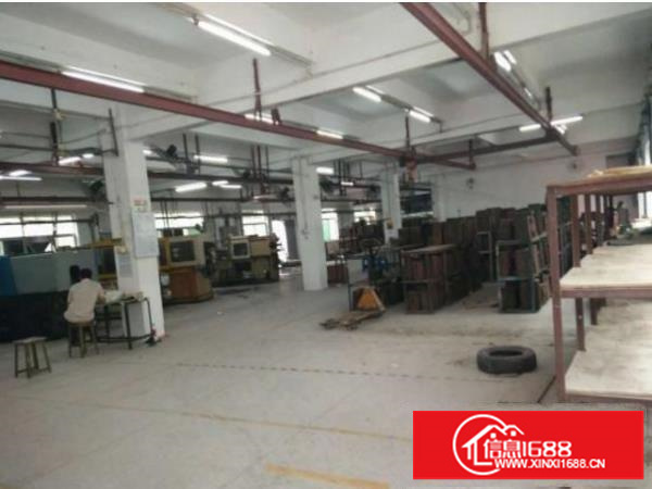 坪山新出独院厂房3900平米加宿舍1800平米