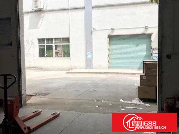 坂田新出一楼整层物流仓库