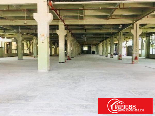 东坑镇新出单层面积大，标准厂房出租大小可以分租