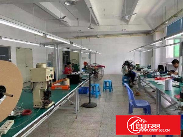 清溪九乡原房东新出460平精装修厂房出租