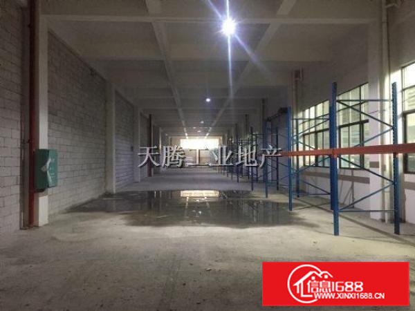 大良凤翔首层1000方高6.5米电100千瓦