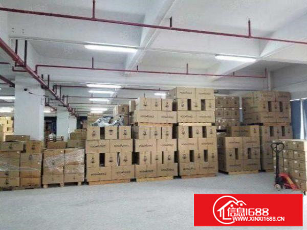 厂房出租横沥工业区单层厂房独门独院空地大好停车可做仓库