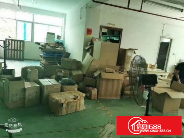 观澜福民新出楼上单层面积550平方带装修厂房出租