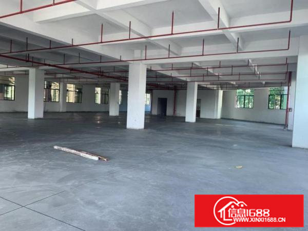 虎门北栅陈村工业区新建厂房整层1900平
