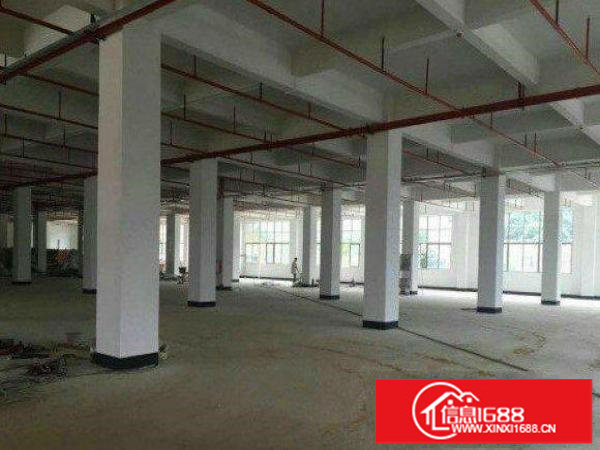 龙岗爱联单一层独院厂房1500平米火爆出租