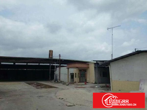 东莞茶山镇超朗村独门独院铁皮房900平方火爆招租