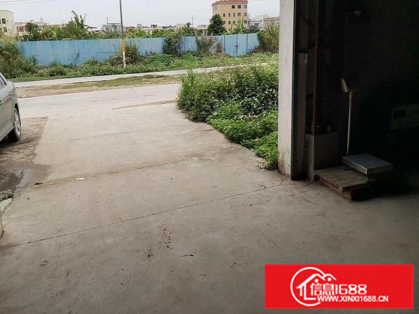 常平还珠沥，自用仓库铁皮钢钩8米高一楼分租约500平米