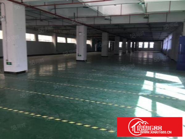 茶山镇新出原房东分租楼上2吨电梯1200平方厂房