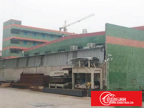 空地大、租金便，顺德勒流10000平方标准厂房出租