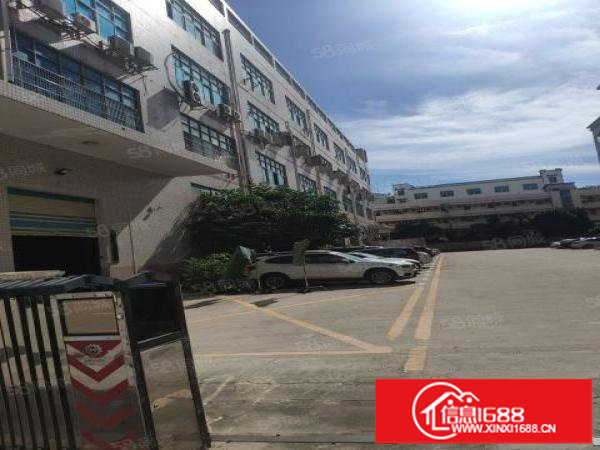 平湖原房东厂房，仓库一楼3200平米带装修出租可分租