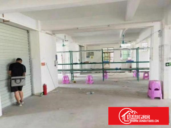 石排横山新出楼上300平方标准厂房招租，现成流水线办公室