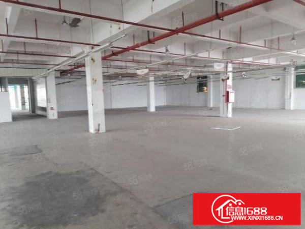 工业园分租二楼3000平方，工业用地消防喷淋，3吨货梯
