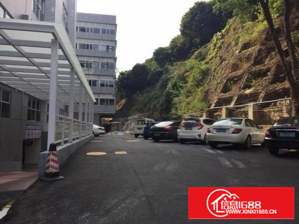 精装修全玻璃高档形象写字楼2000平仅租46元