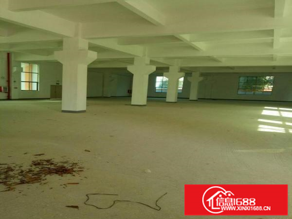 新出原房东独栋8000平火爆招租