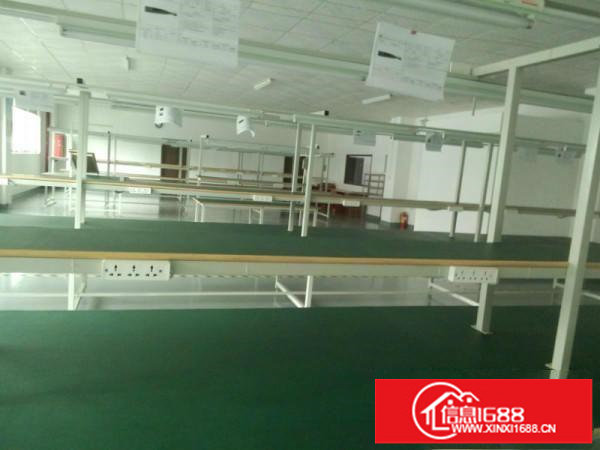 鹊山路口光浩工业区480平方花园式厂房带装修急租