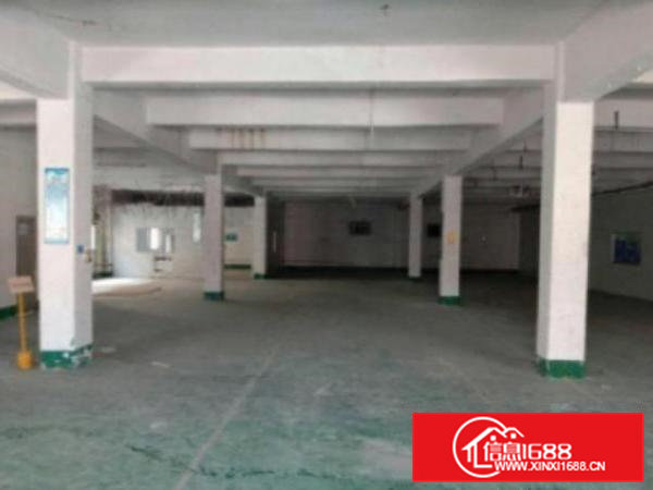 高埗花园式厂房分租一楼1000平方，价格便宜,地段好