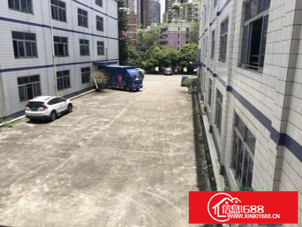 布吉丹竹头小学一楼1800平方。楼上1800平方。大小可分租