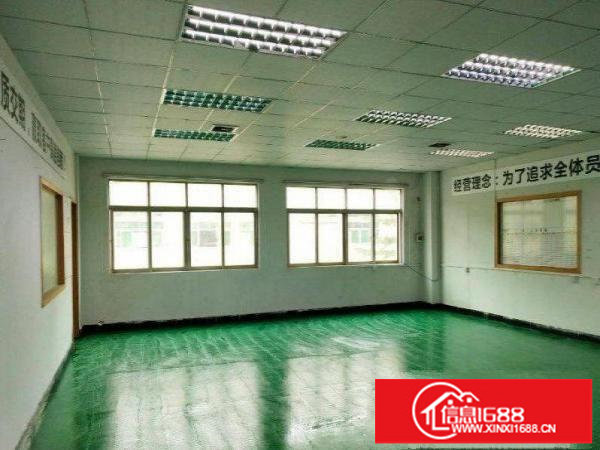 出租龙岗区坂田新出1000平标准楼上，带吊顶装修原房东