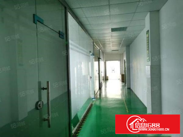 应人石外贸工业区新出原房东整层1290平，精装无转让费