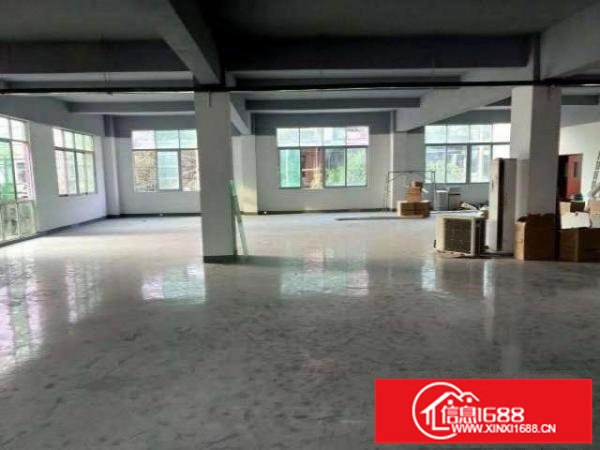 布龙路边新出一楼280平330平500平仓库招租