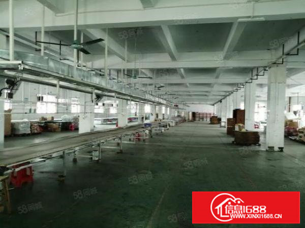 东莞塘厦168原房东标准独院厂房4000平方实际面积出租