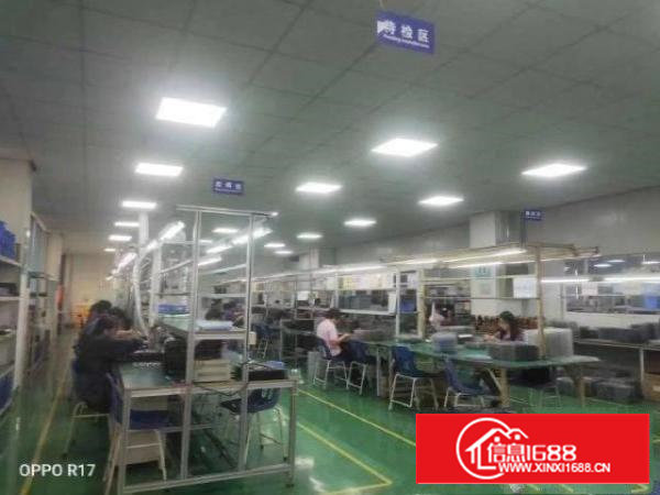 沙井西环路新出二楼2000平米带精装修电子厂招租