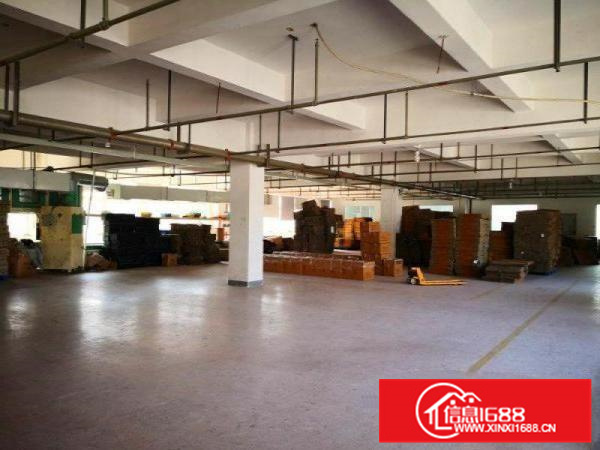 里水大石工业区2600方招工电大不限行业可办环评